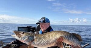 31.2 lbs pike for World Cup Champion Senan Stanley 31lb pike for Senan Stanley, Lough Derg