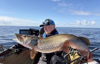 31lb pike for Senan Stanley, Lough Derg