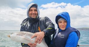 Great start to charter boat season at Wicklow Father & Son with their first Tope, after their first dog, dab, mackerel, and herring.