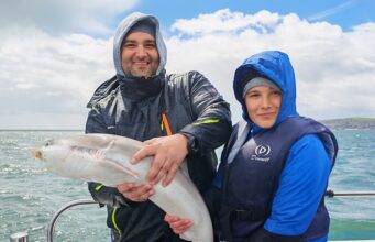 Great start to charter boat season at Wicklow Father & Son with their first Tope, after their first dog, dab, mackerel, and herring.