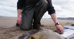 Tralee Bay Grand Slam of Rays for Raymond