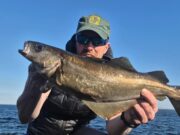 Sandeel lures proving effective for Killybegs Mariners