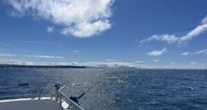 Clare Dragoon back on the fish in west Clare