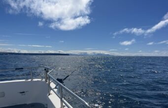 Clare Dragoon back on the fish in west Clare
