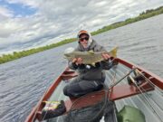 Mayfly well up on Lough Arrow