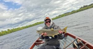 Mayfly well up on Lough Arrow