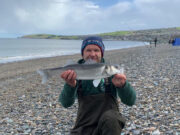 Brackers draw blank on barren Wicklow beach