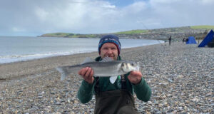 Brackers draw blank on barren Wicklow beach