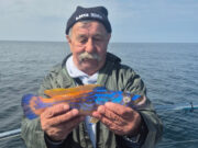 Brazen Hussy back in action in Galway Bay