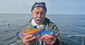 Brazen Hussy back in action in Galway Bay