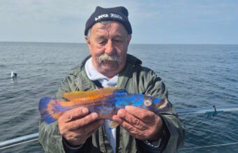 Brazen Hussy back in action in Galway Bay