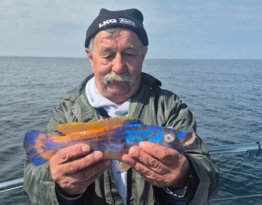 Brazen Hussy back in action in Galway Bay