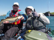 Getting to grips with kayak angling in West Cork