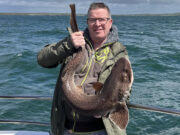 Baby shark.. doo doo.. daddy shark – Big and small in west Clare!