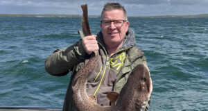 Baby shark.. doo doo.. daddy shark – Big and small in west Clare!