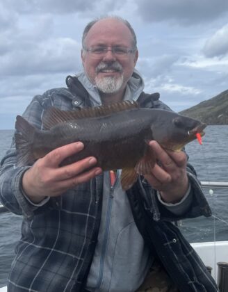 Wrasse