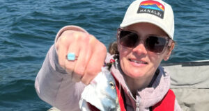 Bass and pollack on fly for tourists fishing Cork Harbour