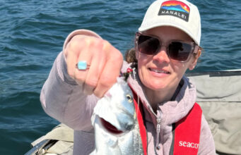Bass and pollack on fly for tourists fishing Cork Harbour