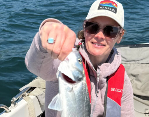 Bass and pollack on fly for tourists fishing Cork Harbour