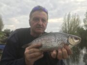 A fish every 3 minutes on the water for Paul at Lanesborough Paul with one of his roach