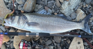 Dave’s dawn raid lands bass in Clare