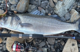 Dave’s dawn raid lands bass in Clare