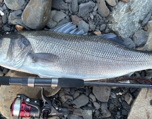 Dave’s dawn raid lands bass in Clare
