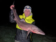 More Species Appearing in Sea Anglers Specimen Hunt