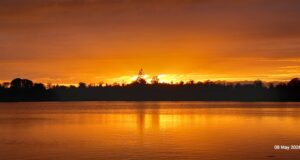 Irish Angling Update 29 May 2026