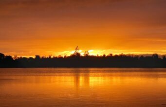 Irish Angling Update 29 May 2026