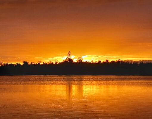 Irish Angling Update 29 May 2026