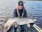 Regular visitors return for another memorable pike session in Boyle