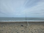 Sunshine and Smoothhounds for annual Ulster Krakens away day match