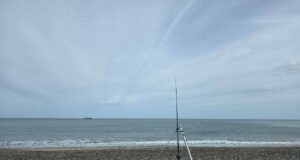Sunshine and Smoothhounds for annual Ulster Krakens away day match