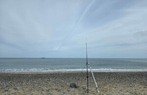 Sunshine and Smoothhounds for annual Ulster Krakens away day match