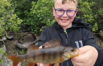 Spinning for perch on Melvin’s shores Adam with a Perch from Lough Melvin