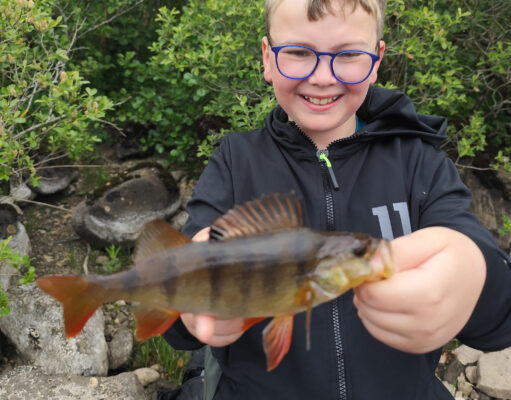 Spinning for perch on Melvin’s shores Adam with a Perch from Lough Melvin