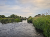 Irish Angling Update 🎣 25th June 2026