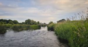 Irish Angling Update 🎣 25th June 2026