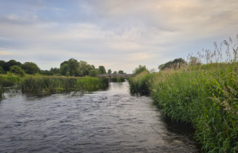 Irish Angling Update 🎣 25th June 2026