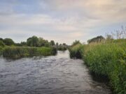 Irish Angling Update 🎣 25th June 2026