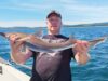First specimen hound of the year for Wicklow Boat Charters