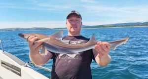 First specimen hound of the year for Wicklow Boat Charters