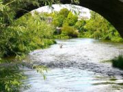 Piscari Newsletter Back With News on River Competitions
