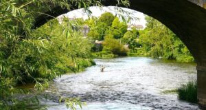 Piscari Newsletter Back With News on River Competitions