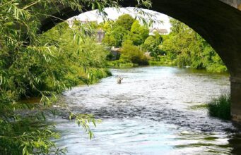 Piscari Newsletter Back With News on River Competitions