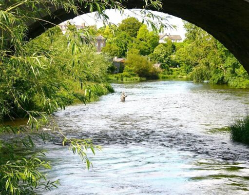 Piscari Newsletter Back With News on River Competitions