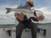 Bass to blue shark in West Cork