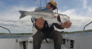 Bass to blue shark in West Cork