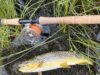 Lough Fada brownies fit & fighting on family fishing day